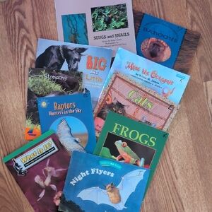 Colorful Children's Book Collection